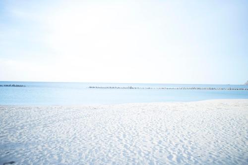 un groupe d'oiseaux debout sur une plage dans l'établissement Book & Guesthouse Hitotomaru, à Toyooka