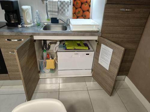 a small kitchen with a sink and a dishwasher at Majestic Isal-inn in Aix-les-Bains