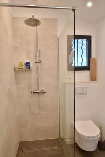 une salle de bain avec douche et toilettes dans l'établissement Top of house with sea view 50m from the beach, au Lavandou