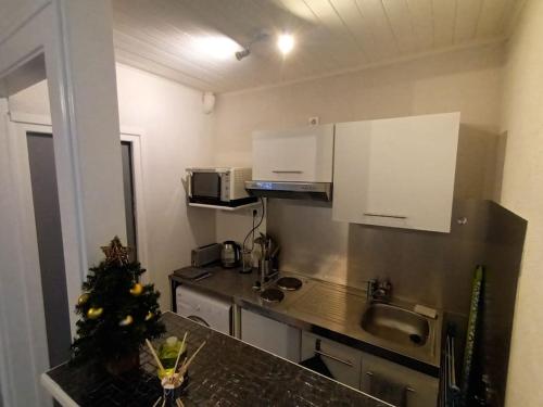 Kuchyňa alebo kuchynka v ubytovaní Appartement duplex avec garage Annecy centre et Lac