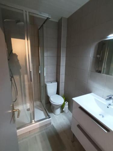 une salle de bain avec une douche, des toilettes et un lavabo dans l'établissement Appartement duplex avec garage Annecy centre et Lac, à Annecy