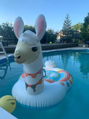 un lapin gonflable sur un anneau gonflable dans une piscine dans l'établissement La Basse Lande, à Montours