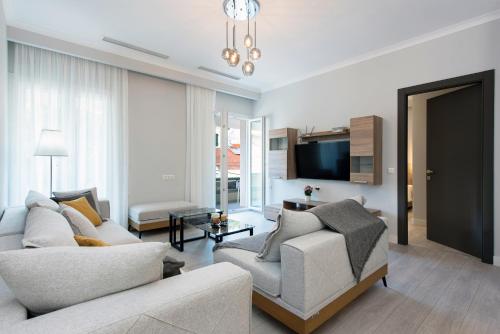 卡西奧皮的住宿－Pelagia Apartment by Kormaris，客厅配有两张沙发和一台电视机