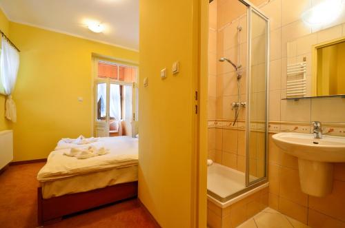 a bathroom with a bed and a sink and a shower at Złoty Widok in Karpacz