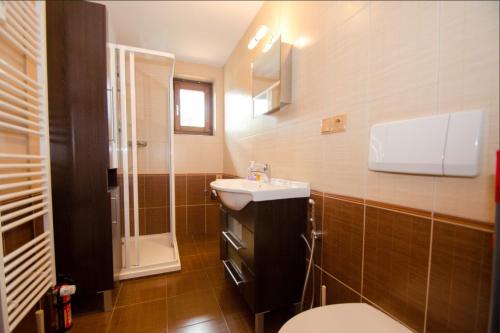 a small bathroom with a sink and a toilet at OTILIA apartment in Zell am See