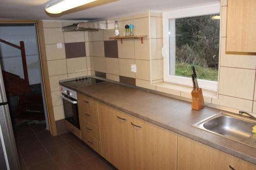 a small kitchen with a sink and a window at Pensiunea Martinel in Timisu de Sus