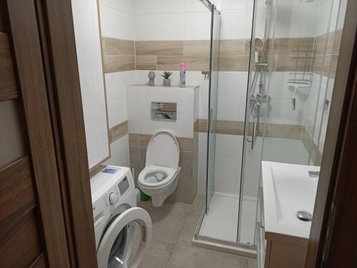 a small bathroom with a toilet and a shower at Apartament Krucze Łąki in Kruklanki