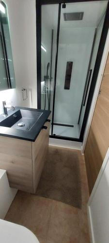 a bathroom with a glass shower and a sink at Cosy Appartement near Disneyland & Paris in Coupvray