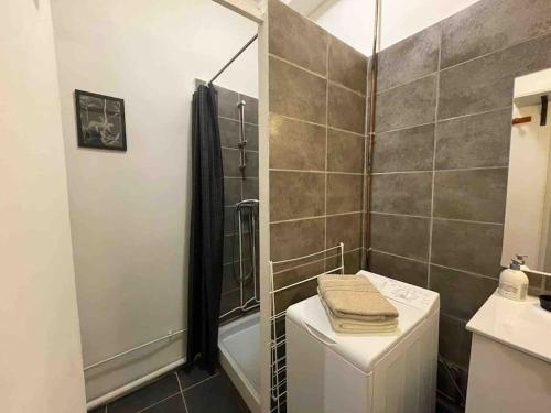 een badkamer met een douche, een toilet en een wastafel bij LA GRANDE COTE in Lyon