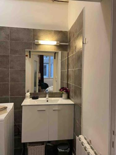 une salle de bain avec un lavabo et un miroir dans l'établissement LA GRANDE COTE, à Lyon