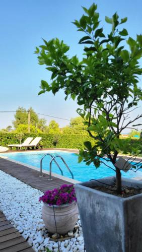 Gallery image of Zennova #17 Lydia Luxury Pool Villa, Elani in Siviri
