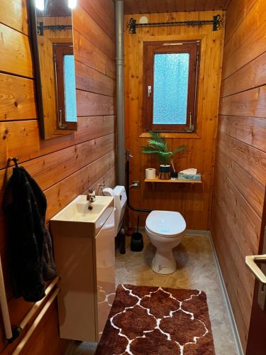 a wooden bathroom with a toilet and a sink at Alb Landhaus in Inneringen-Hettingen