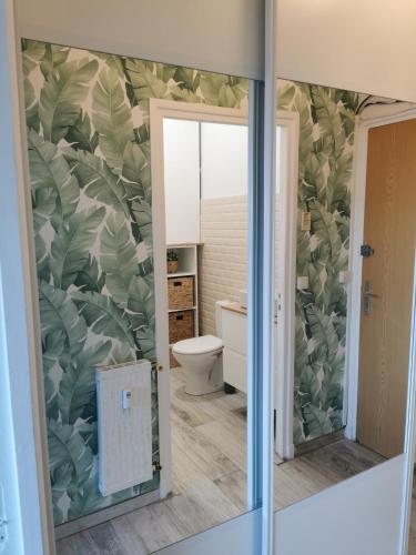 une salle de bain avec toilettes et miroir dans l'établissement Le Pouget , Studio, Rez de Chaussée, Front de Mer WIFI, à Le Touquet-Paris-Plage