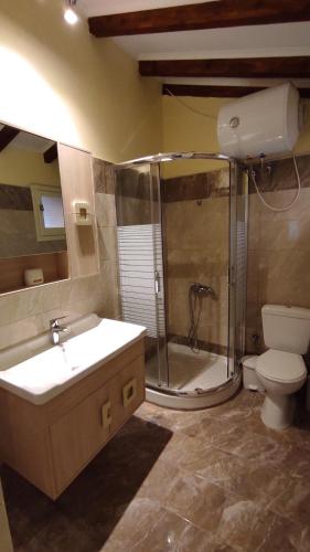 a bathroom with a shower and a sink and a toilet at Potami Studios in Lefkímmi