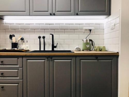 a kitchen with gray cabinets and a counter top at Regia Bitola in Bitola