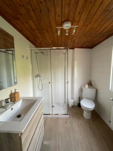 a bathroom with a shower and a toilet and a sink at Casa de Labranza Naz in Sober