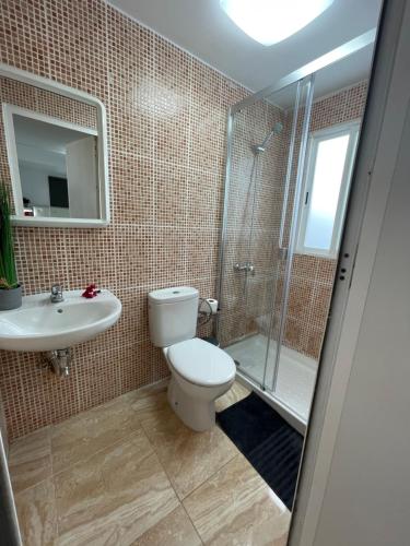 a bathroom with a toilet and a shower and a sink at Apartamentos Elena in Lajares