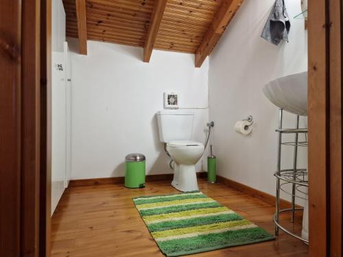 baño con aseo y alfombra verde en ΚΑΛΟΣΚΟΠΗ Luxury House, en Kaloskopí