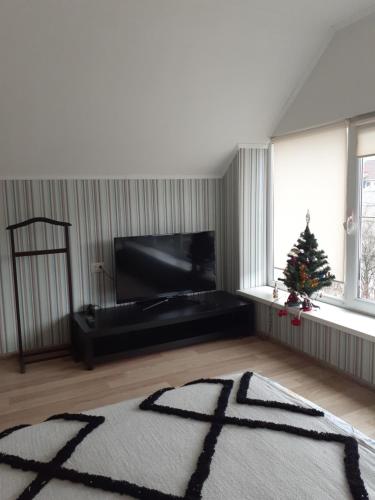 a living room with a christmas tree and a rug at Homestay Khomenko in Perechin