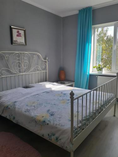a bedroom with a white bed with a blue curtain at Homestay Khomenko in Perechin