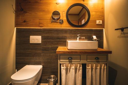 a bathroom with a sink and a toilet and a mirror at Hotel Zamorc in Škofja Loka