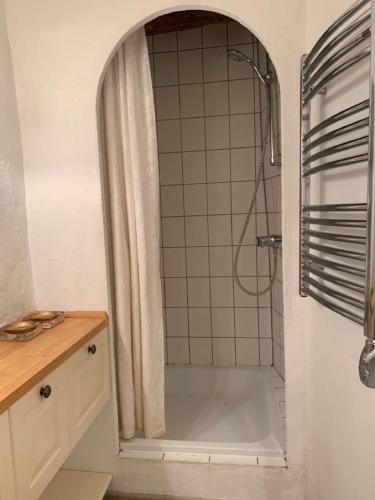 une salle de bain avec une douche avec un rideau de douche dans l'établissement L'Oustau de Cotignac, à Cotignac