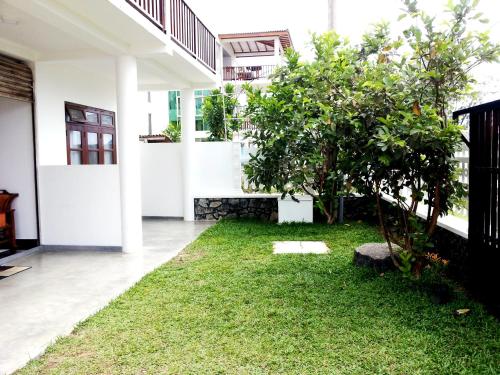 a courtyard of a house with a small tree at Ceylon Surf Guest and Restaurant in Weligama