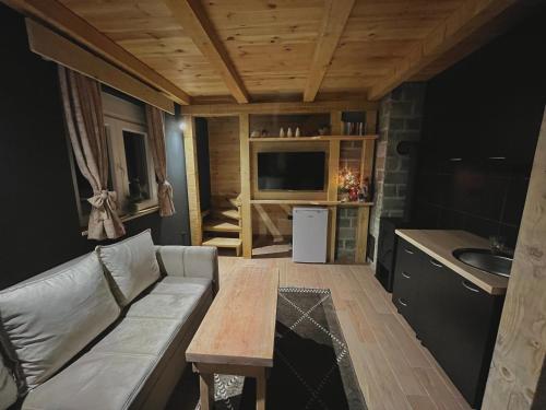 a living room with a couch and a kitchen at Apartman Kruna in Kolašin