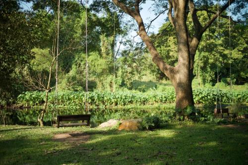 Κήπος έξω από το Kenaray Farmstay riverside
