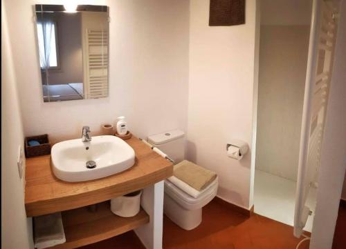 ein Badezimmer mit einem Waschbecken, einem WC und einem Spiegel in der Unterkunft MAISON HÔTEL SES PENYES in Alaior