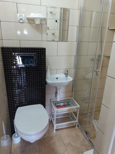 a bathroom with a toilet and a sink and a shower at Domek letniskowy in Gołdap