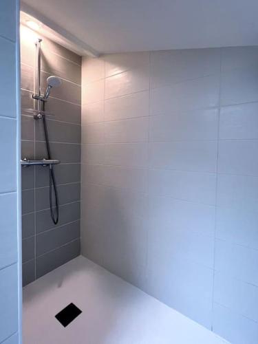 une salle de bain avec une douche avec une porte vitrée dans l'établissement Maison 15 personnes périphérie de Clermont-Ferrand, à Romagnat