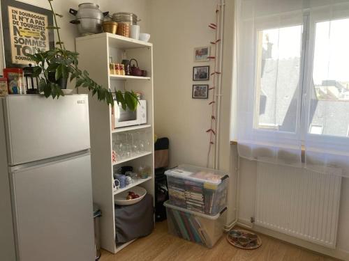 kuchnia z lodówką i oknem w obiekcie Hyper centre Cherbourg, superbe duplex de 72 m2 w mieście Cherbourg en Cotentin