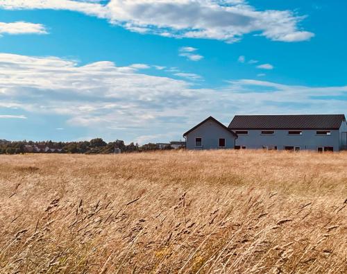 a barn in the middle of a field at BALTICO Domki Letniskowe in Sarbinowo