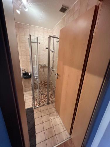 a shower with a glass door in a bathroom at Ferienwohnung Eickwinkel in Winterberg