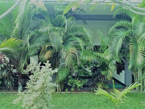 Sea Shells Inn Abay – Photos 3