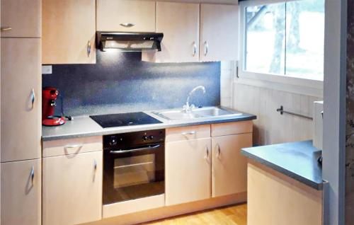 A cozinha ou cozinha compacta de Vex