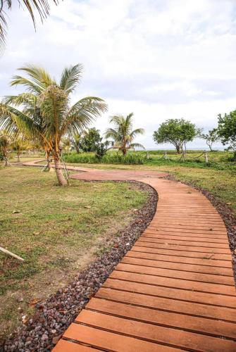 a path in the middle of a field with palm trees at Seafront Residences Vacation Getaway in San Juan
