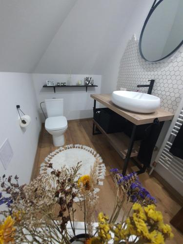 uma casa de banho com um lavatório, um WC e um espelho. em Farma Opačitá em Valaská Belá
