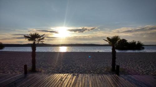 dos palmeras en una playa con el sol en el fondo en mobil home tout équipé 3 chambres en Gastes