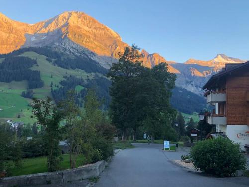 1-room apartment * directly by the cable car * Bernese Alps