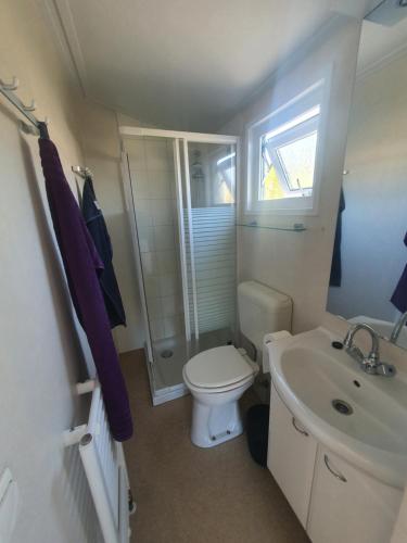een kleine badkamer met een toilet en een wastafel bij Gezellig chalet op een prachtige plek in Drenthe met vrij uitzicht in Tynaarlo