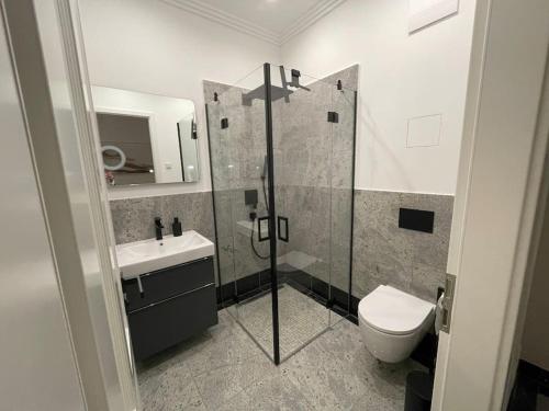a bathroom with a shower and a toilet and a sink at Luxuriöses Studio mit privatem Zugang zum See in Potsdam
