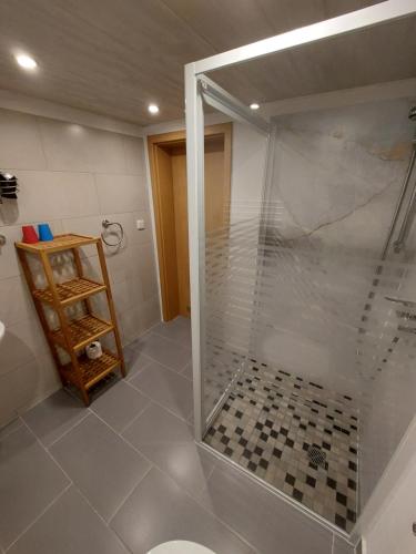 a bathroom with a shower with a glass door at Haus Angermann in Struppen