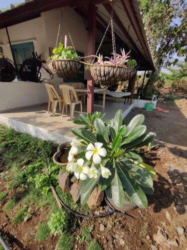 a porch with two baskets of plants and a table at Osaree Agro and Art Hub in Kolhapur