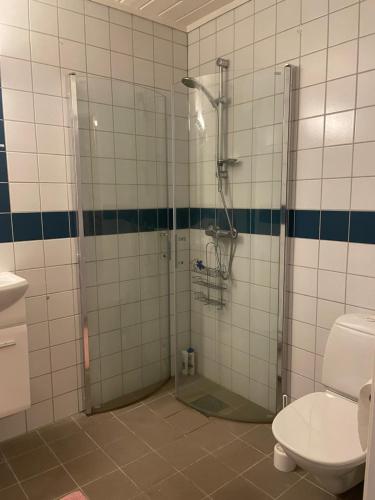 a bathroom with a shower and a toilet at Spacious apartment with view over the trondheimfjord in Vangshylla