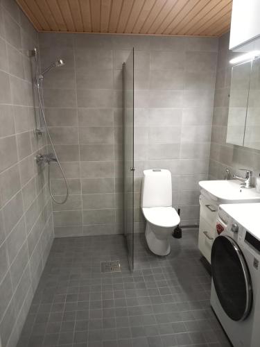 W łazience znajduje się prysznic, toaleta i umywalka. w obiekcie New&Easy apartment in the center w mieście Turku