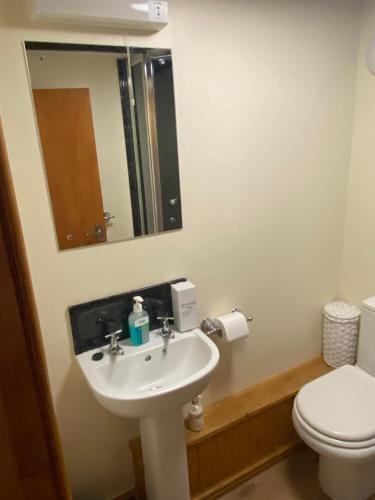 a bathroom with a sink and a toilet and a mirror at The crown inn Longtown in Hereford