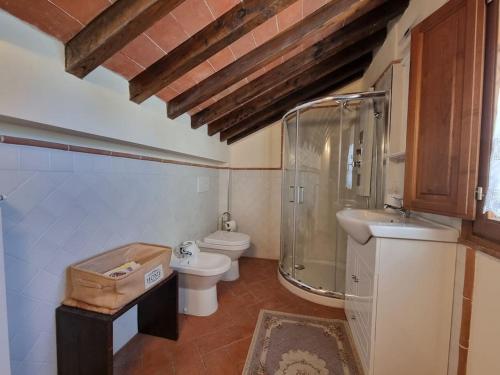 y baño con aseo, ducha y lavamanos. en Il casale del Domo, en Monsummano