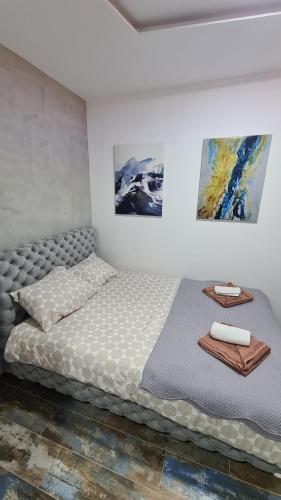 迪夫伊拜的住宿－Diamond PART，卧室配有一张壁画和两张画的床铺。
